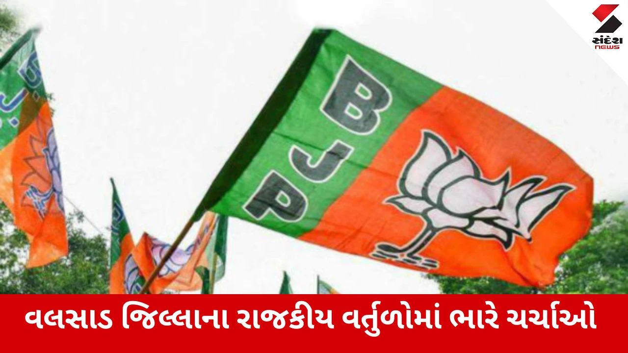Local Body Elections 2026 : ચૂંટણી ટાણે ભાજપનો સપાટો, પક્ષ વિરોધી પ્રવૃત્તિ કરનાર ઉમરગામ અને પારડીના 8 સભ્યો 6 વર્ષ માટે સસ્પેન્ડ