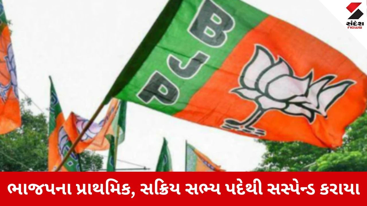 गुजरात भाजपा एक्शन 7 बड़े नेता पार्टी से सस्पेंड
