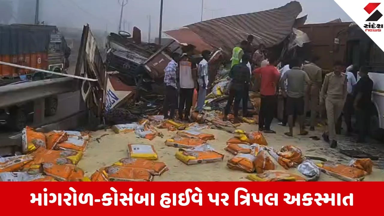 સુરત: ગાઢ ધુમ્મસમાં NATIONAL HIGHWAY 48 પર ત્રિપલ અકસ્માત, કન્ટેનર પલટી જતાં એકનું મોત.