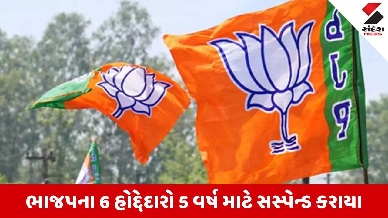 Local Body Elections 2026: દાહોદ ભાજપની કડક કાર્યવાહી, પક્ષ વિરોધી કાર્યવાહી કરવા બદલ 6 હોદ્દેદારને કર્યા સસ્પેન્ડ