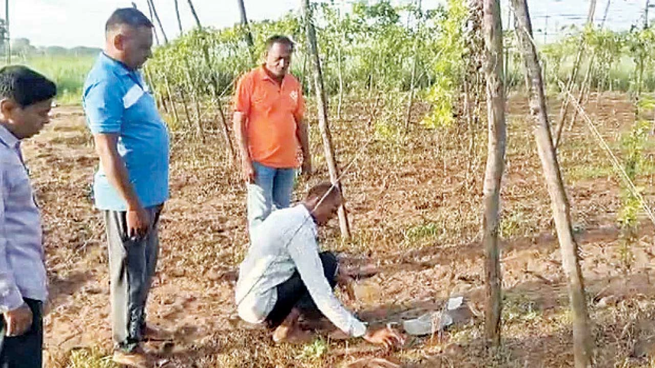 અખાત્રીજ નિમિત્તે ખેડૂતોએ પૂજા કરીને ખેતીનો વિધિવત પ્રારંભ કર્યો.