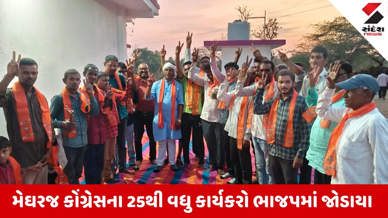 Local Body Elections 2026: મેઘરજમાં કોંગ્રેસને મોટો ઝટકો, પંચાલ જિલ્લા પંચાયતના 25થી વધુ કાર્યકરો ભાજપમાં જોડાયા