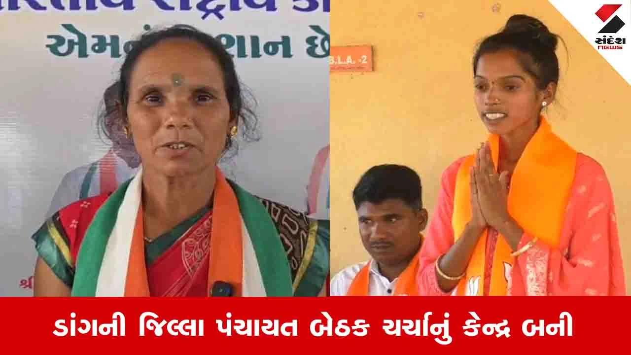 Local body election: ડાંગ જિલ્લા પંચાયતની ચૂંટણીમાં સાસુ સામે શિક્ષિત વહુનો જંગ, બંનેએ એકબીજાની સામે મત માંગ્યા