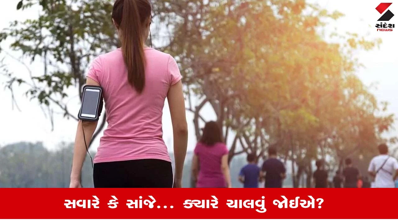 Morning walk vs Evening walk: શરીરને તંદુરસ્ત રાખવા માટે સવારે કે સાંજે ક્યારે કરવું વોક?, જાણો