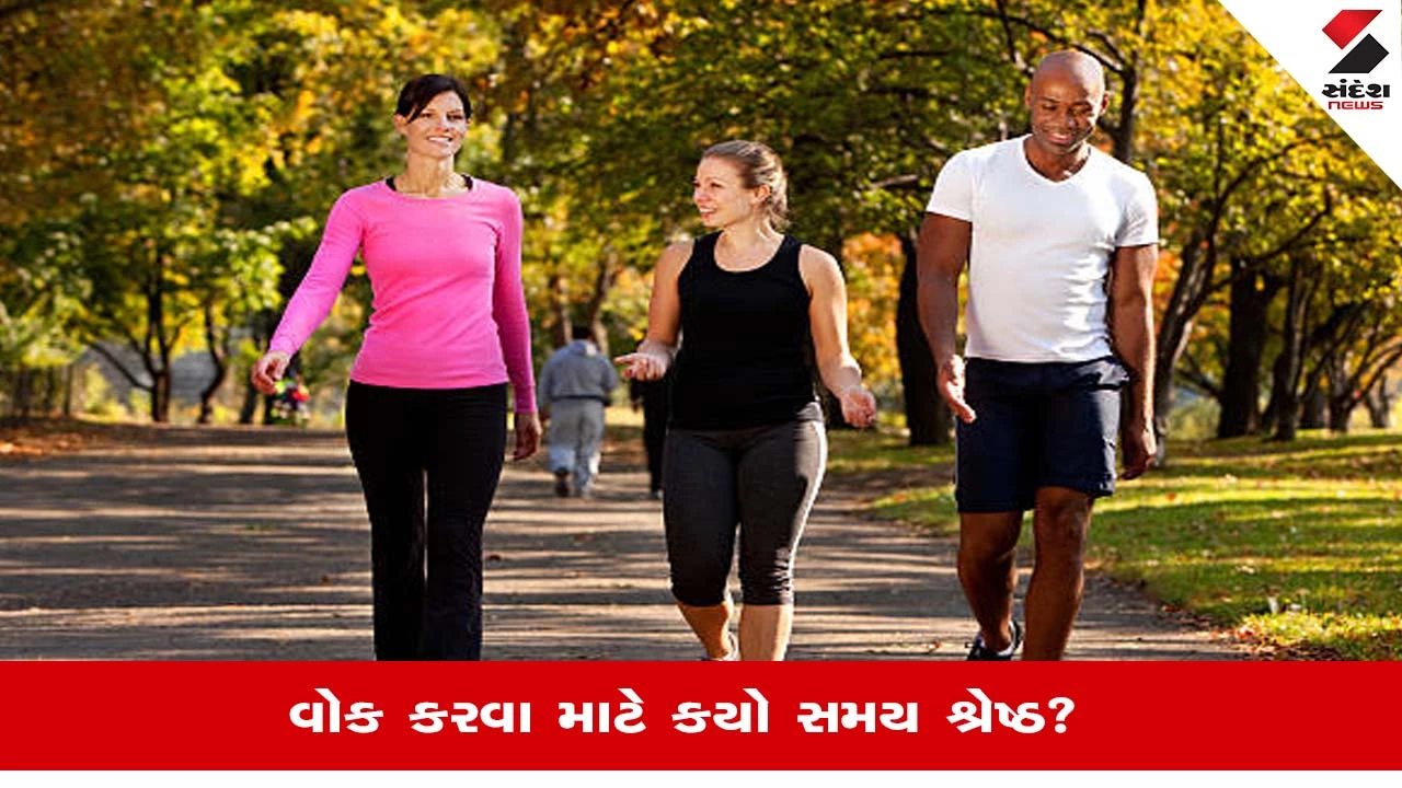 Morning or Summer Walk: શું ઉનાળામાં ખાલી પેટ મોર્નિંગ વોક ટાળવુ જોઈએ, જાણો શુ કહે છે નિષ્ણાતો?
