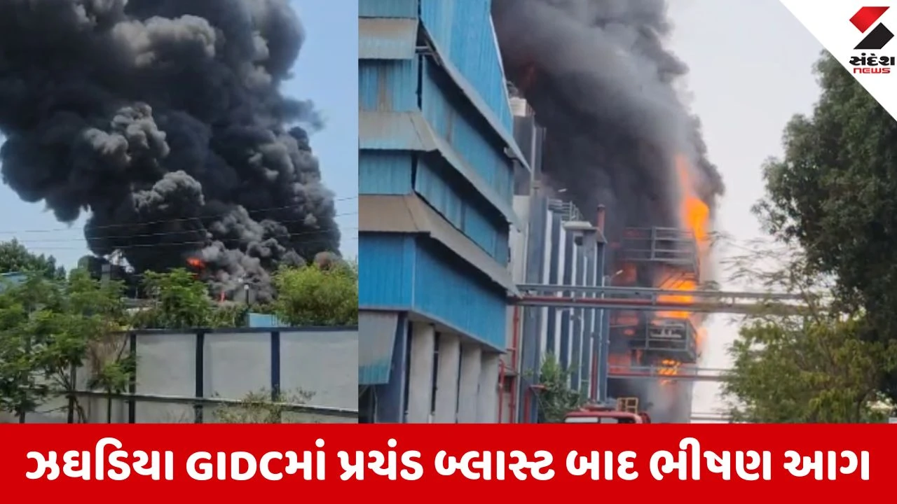 Bharuch: ઝઘડિયા GIDCની કંપનીમાં બ્લાસ્ટ સાથે ફાટી નીકળી ભીષણ આગ, 20થી વધુ લોકો ગંભીર રીતે દાઝતા અફરાતફરી
