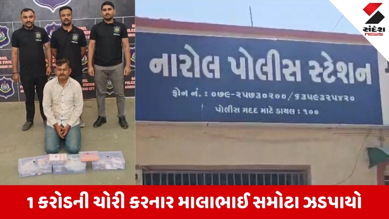 Ahmedabad News: કરોડોની ચોરી કરનાર શાતિર શખ્સ નારોલ પોલીસની ઝપટે, 1 કરોડથી વધુના દાગીના અને ડોલરની કરી હતી લૂંટ