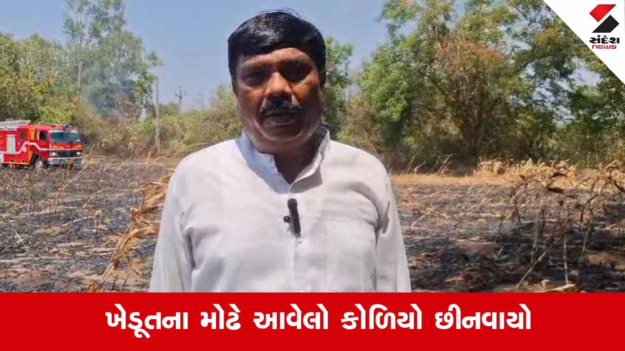 Sankheda News: હાંડોદ નજીક મકાઈના ખેતરમાં ભીષણ આગ, સાત વીઘાનો તૈયાર પાક બળીને ખાખ