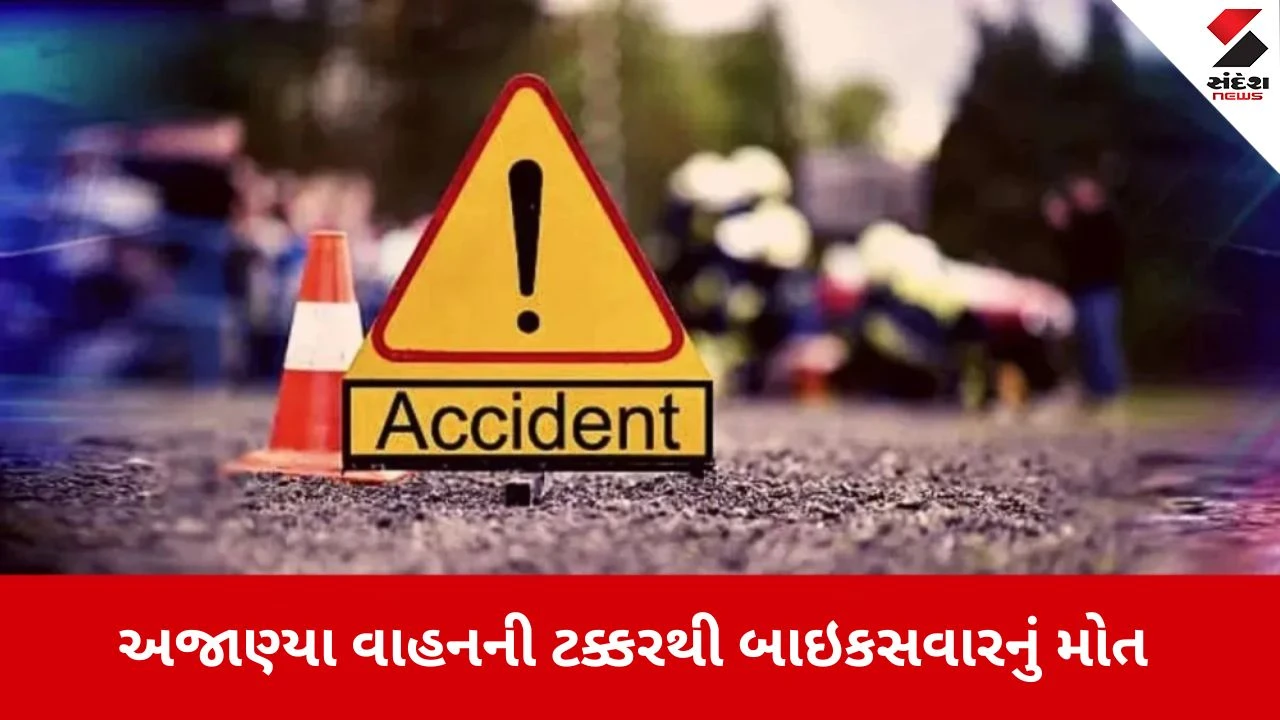 Anand : ઉમરેઠ-ડાકોર હાઈવે પર કાળમુખા વાહને બાઈકને લીધું હડફેટે, બાઈકસવારનું ઘટનાસ્થળે જ કમકમાટીભર્યું મોત