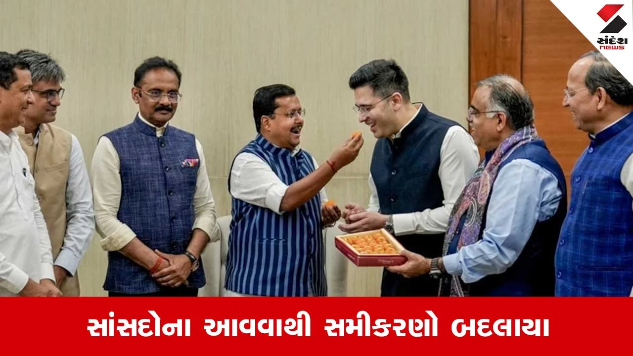 રાઘવ ચઢ્ઢા: AAPના 7 સાંસદોથી રાજ્યસભામાં NDAની તાકાત વધી, BJP બહુમતીની નજીક.