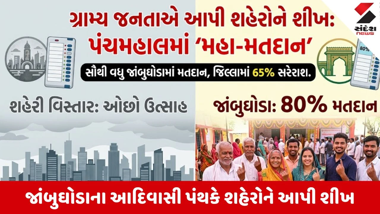 Local Body Elections 2026: પંચમહાલમાં સરેરાશ 65% મતદાન, જાંબુઘોડામાં 80%થી વધુ વોટિંગ સાથે નવો ઇતિહાસ