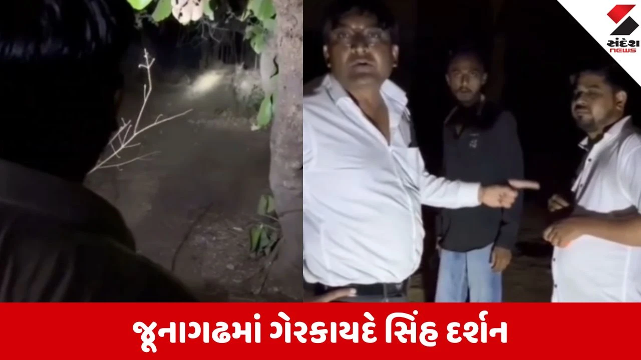 જૂનાગઢમાં સરપંચે ગેરકાયદે સિંહ દર્શનનું રેકેટ પકડ્યું.