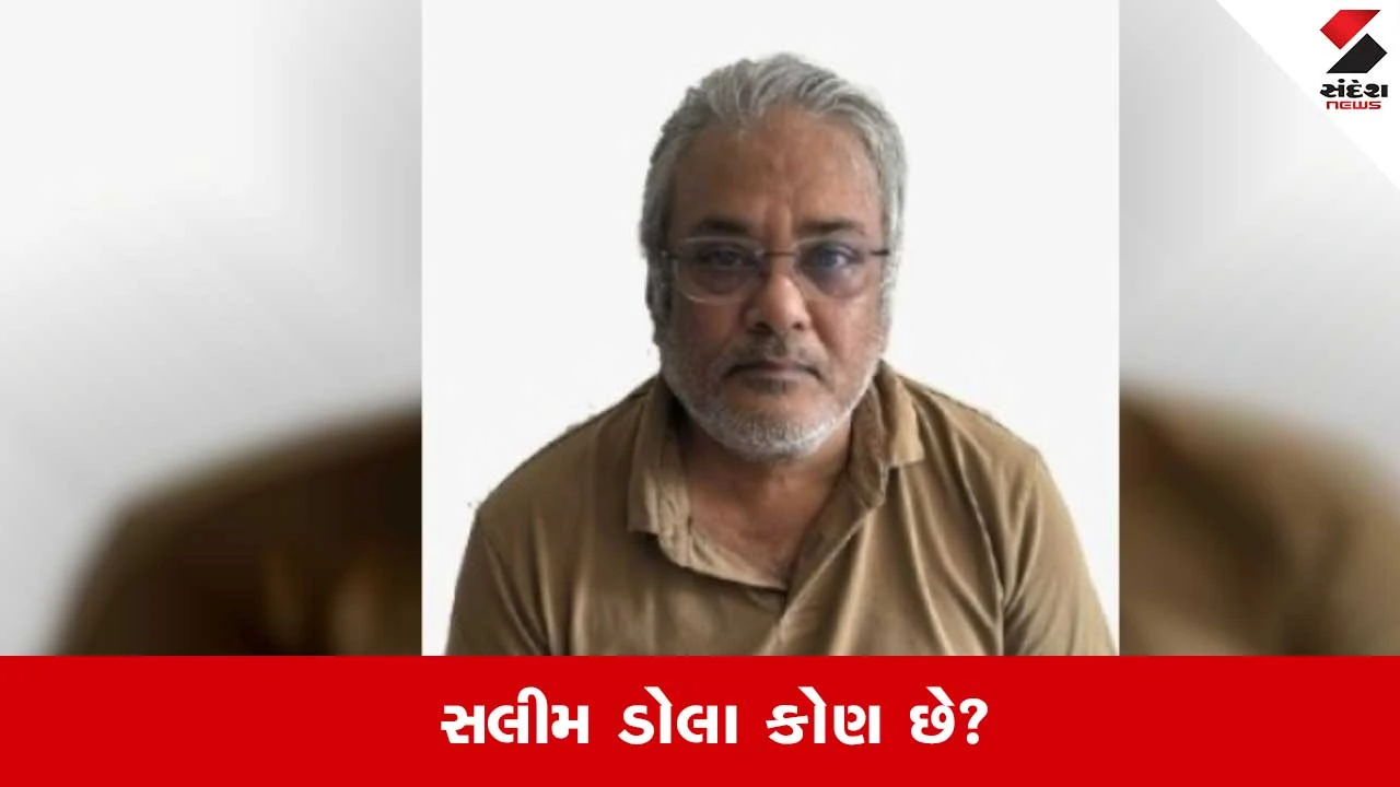 દાઉદ ઇબ્રાહિમનો રાઇટ હેન્ડ સલીમ ડોલા ભારત લવાયો, ડ્રગ્સ નેટવર્ક મામલે પૂછપરછ તેજ