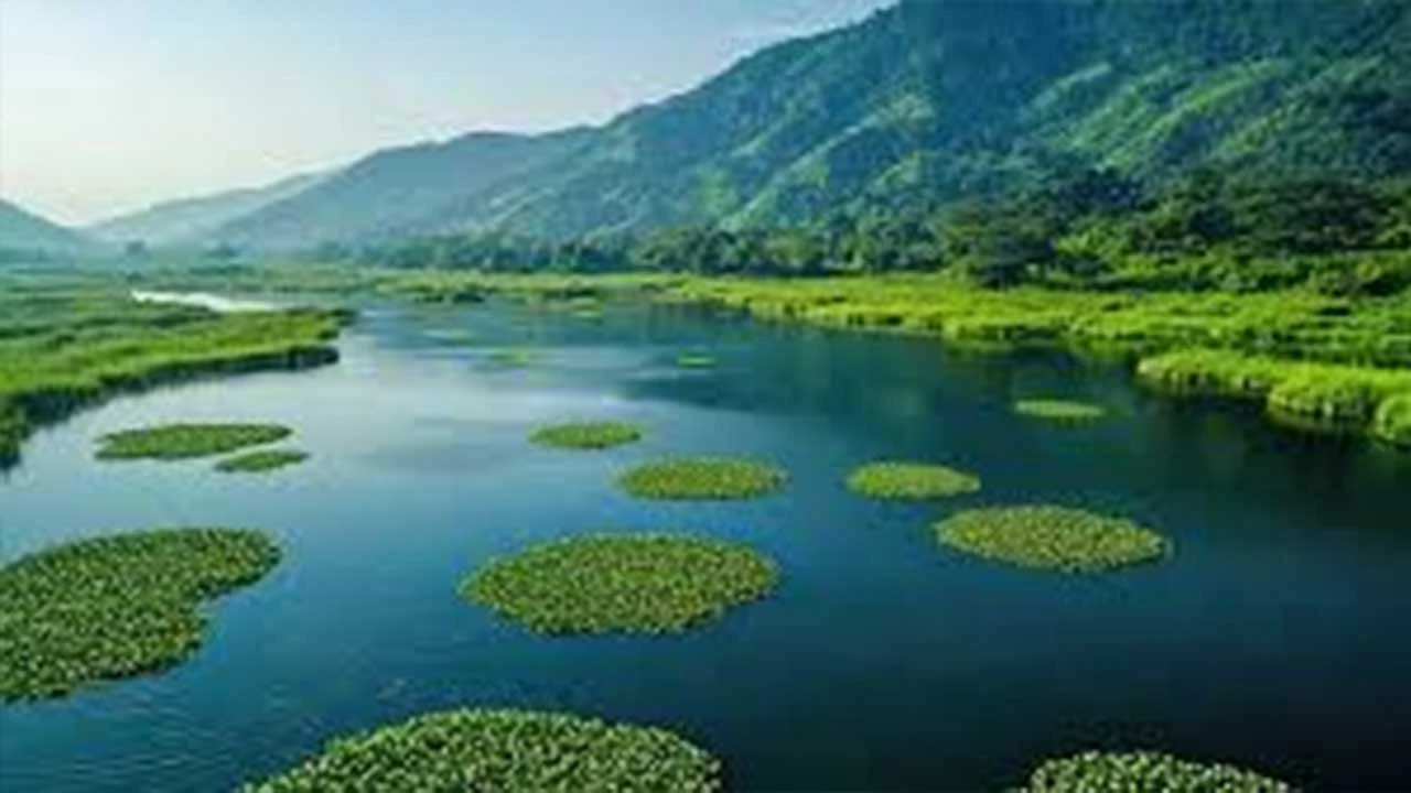 લોકટક તળાવ અને 'કૂમડી' ટાપુઓ : કુદરતનું અનોખું અજાયબ ઘર