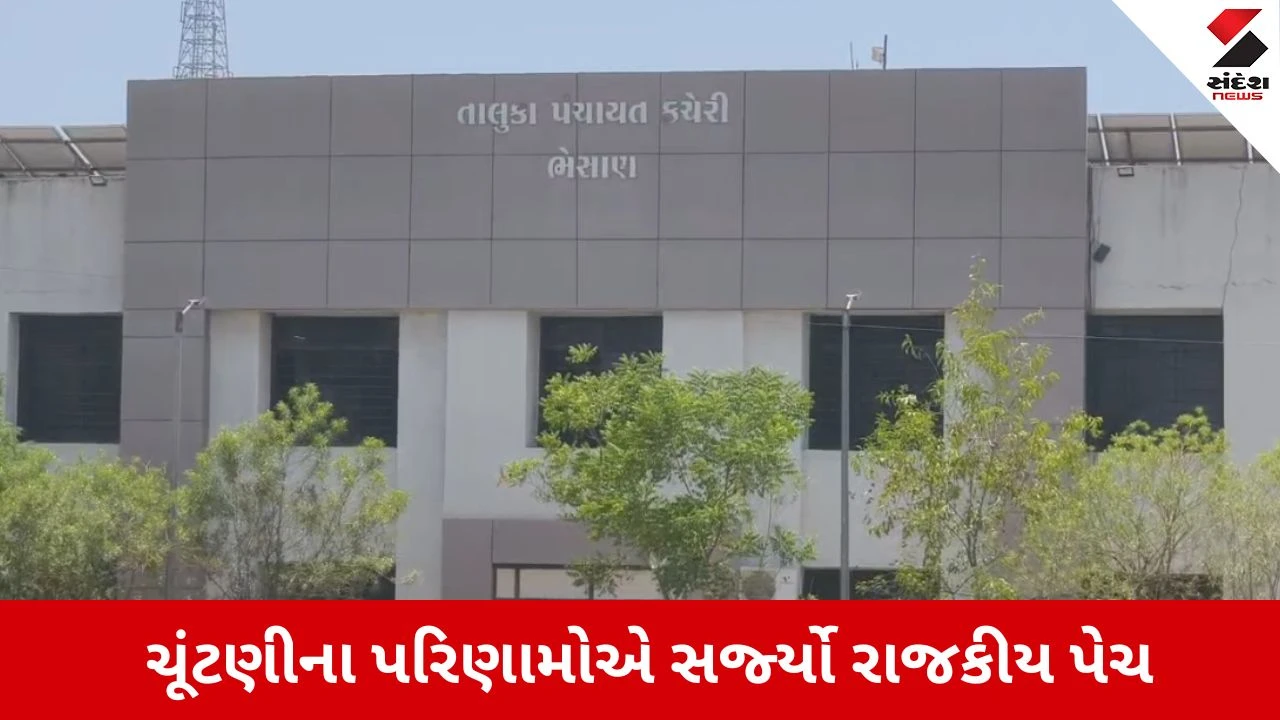 Gujarat Local Body Election Results 2026: ભેસાણમાં અનોખો રાજકીય ખેલ: 'આપ' પાસે 13 સભ્યો છતાં પ્રમુખ ભાજપનો બનશે