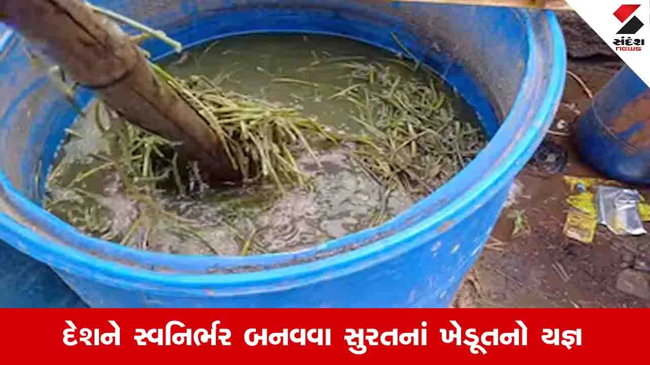 Agriculture News : સુરતના ખેડૂતે ઔદ્યોગિક સ્તરે ઘનજીવામૃતનું ઉત્પાદન શરૂ કર્યું