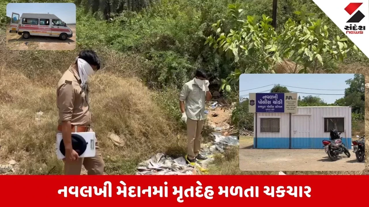 Vadodara News: નવલખી પોલીસ ચોકી પાસે મેદાનમાંથી મળ્યો કોહવાયેલો મૃતદેહ, ગંભીર રહસ્યોના એંધાણ