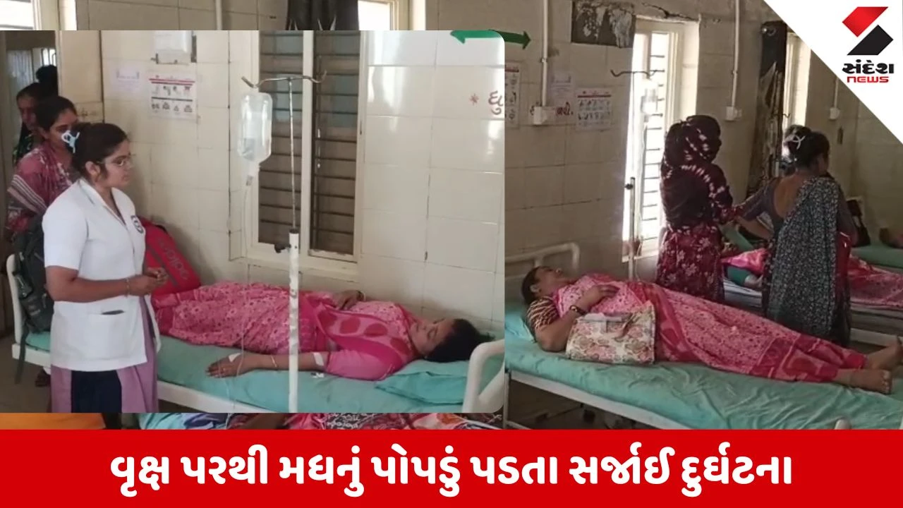 Amreli News: મોટી કુકાવાવમાં મધમાખીનો હુમલો, 25થી વધુ આંગણવાડી બહેનોને માર્યા ડંખ