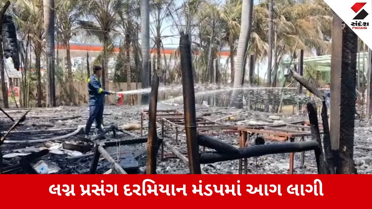 Jamnagar : રણજીત સાગર પાસેના ફોરેસ્ટ રિસોર્ટમાં લગ્ન પ્રસંગે ભીષણ આગ, મંડપ અને સામાન બળીને ખાખ