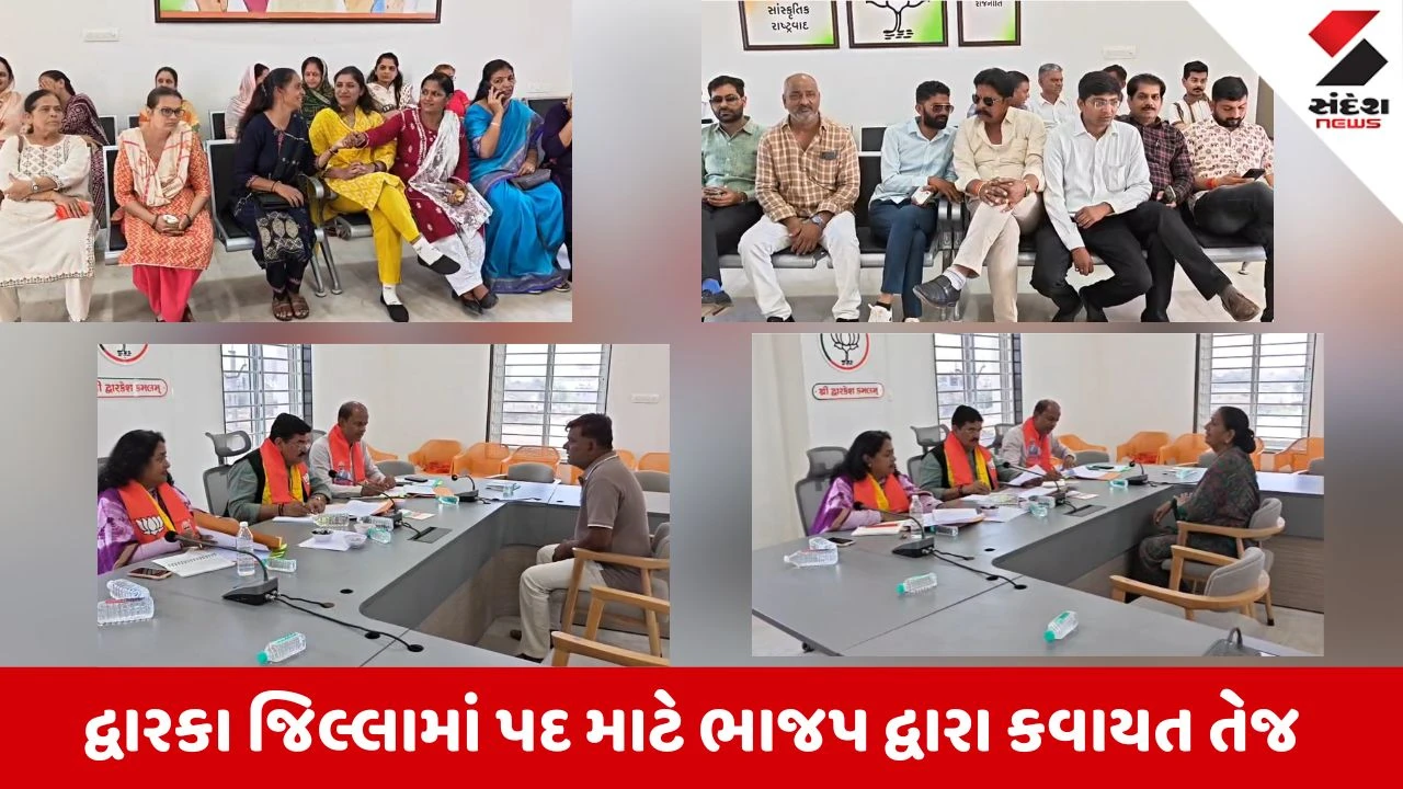 Dwarka News: જામ ખંભાળિયા ‘કમલમ’ ખાતે ભાજપ દાવેદારોનો ધસારો, સ્થાનિક સ્વરાજ્યની ચૂંટણી માટે સેન્સ પ્રક્રિયાનો ધમધમાટ