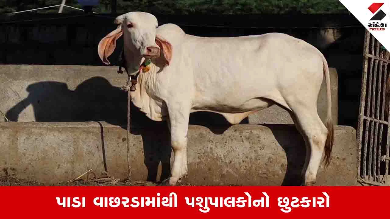 Agriculture News: પશુપાકોએ માત્ર વાછરડી આપતી સેક્સ્ડ સિમન ટેકનોલોજી અપનાવી