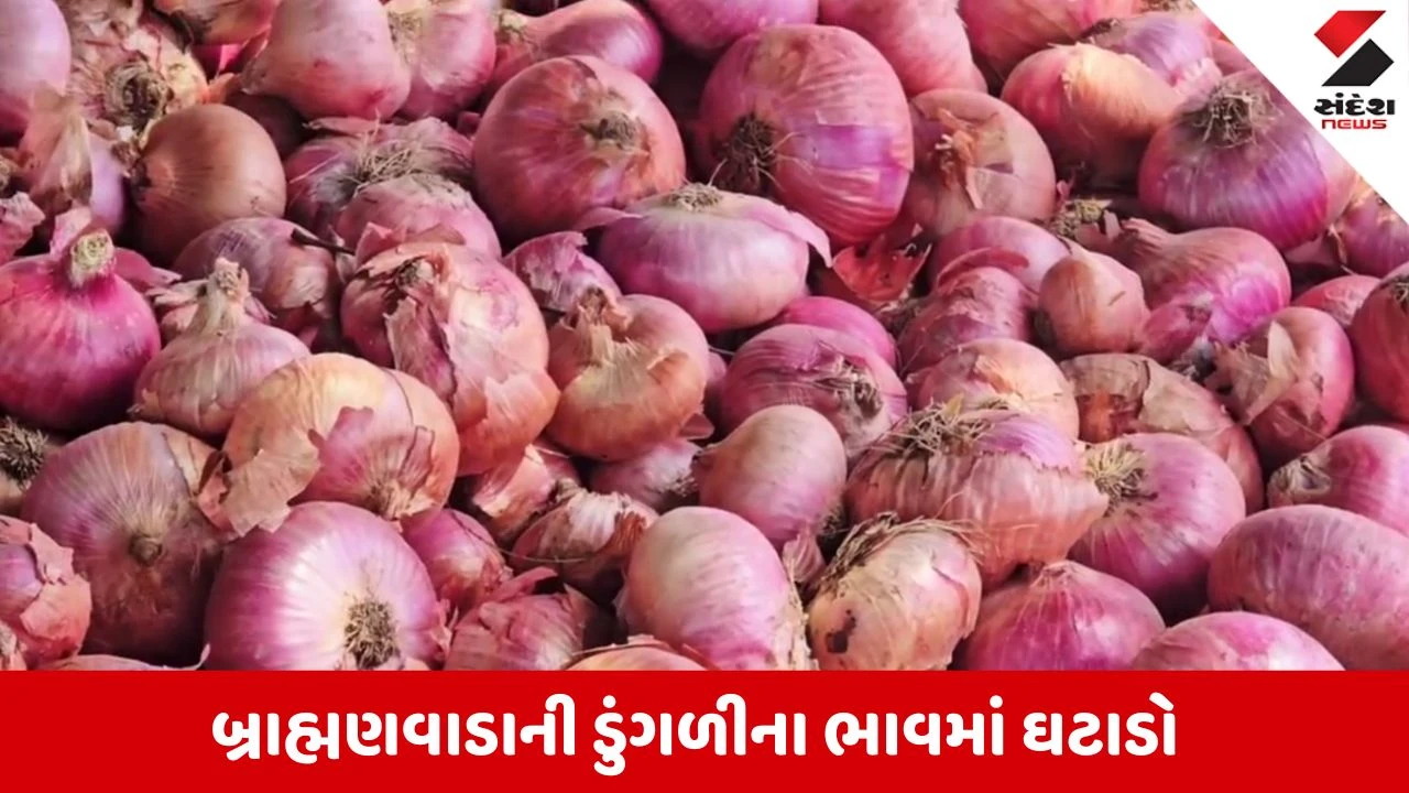 Mahesana News: ડુંગળીએ ખેડૂતોને રડાવ્યા, ઉત્પાદનમાં 50 ટકાનો ઘટાડો છતા ભાવ ગગડ્યા