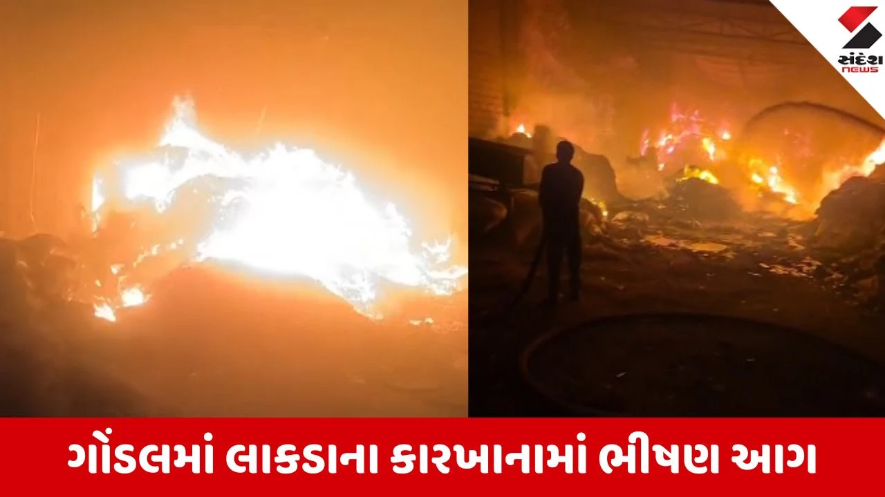 ગોંડલ: લાકડાના કારખાનામાં શોર્ટ સર્કિટથી ભીષણ આગ, JCBથી દીવાલો તોડી કાબૂ મેળવાયો.