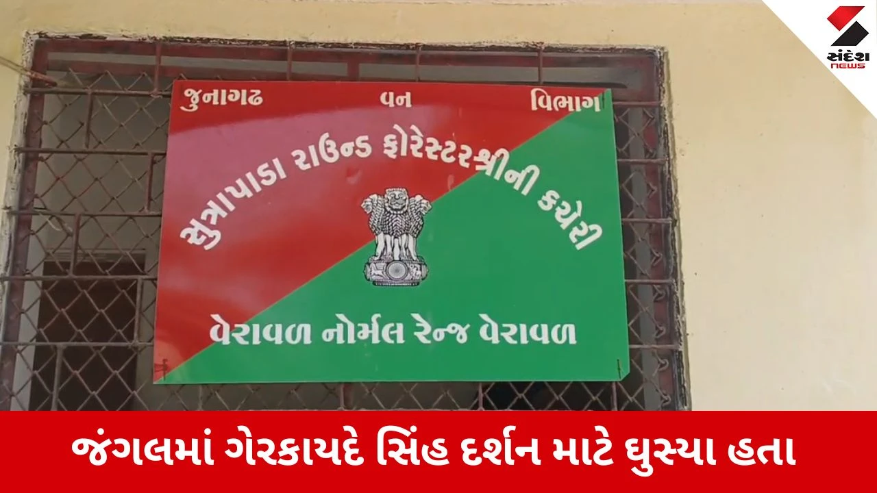 Gir Somnath : ગીરના જંગલમાં ગેરકાયદે સિંહ દર્શન કરનારાઓ સામે વન વિભાગની કડક કાર્યવાહી, હજારોનો દંડ વસુલાયો