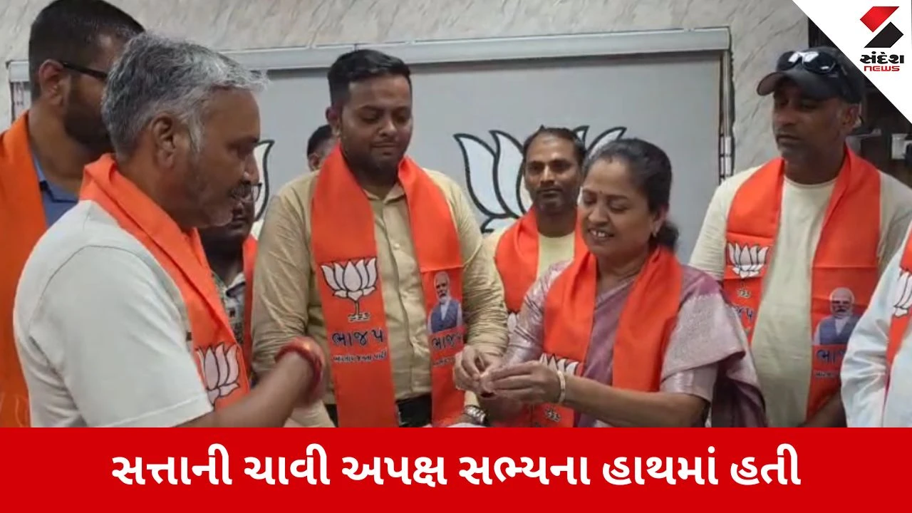 Kheda : વસો તાલુકા પંચાયતમાં ભાજપનો માસ્ટરસ્ટ્રોક, બહુમતી માટે ખૂટતી કડી સમાન અપક્ષ સભ્ય બીરેન પટેલે કેસરીયા કર્યા