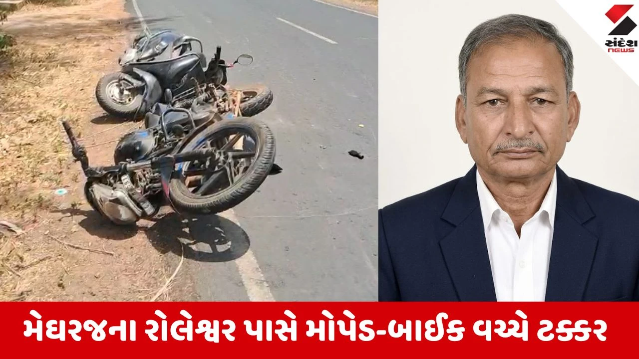 Aravalli: મેઘરજના રોલેશ્વર પાસે મોપેડ અને બાઈક વચ્ચે અકસ્માત, ભાજપ કાર્યકરનું સારવાર દરમિયાન મોત