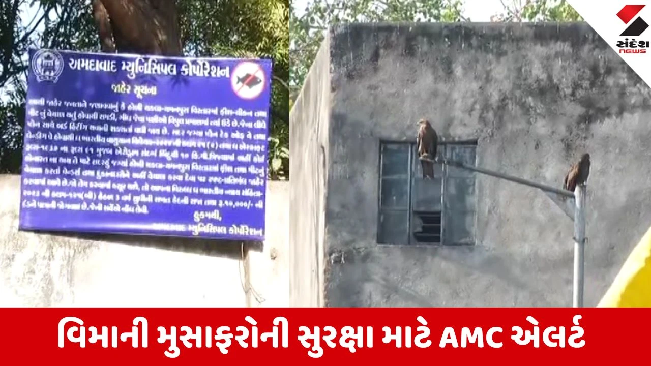 એરપોર્ટ પર Bird Hit રોકવા, નોનવેજ વેચાણ પર પ્રતિબંધ.