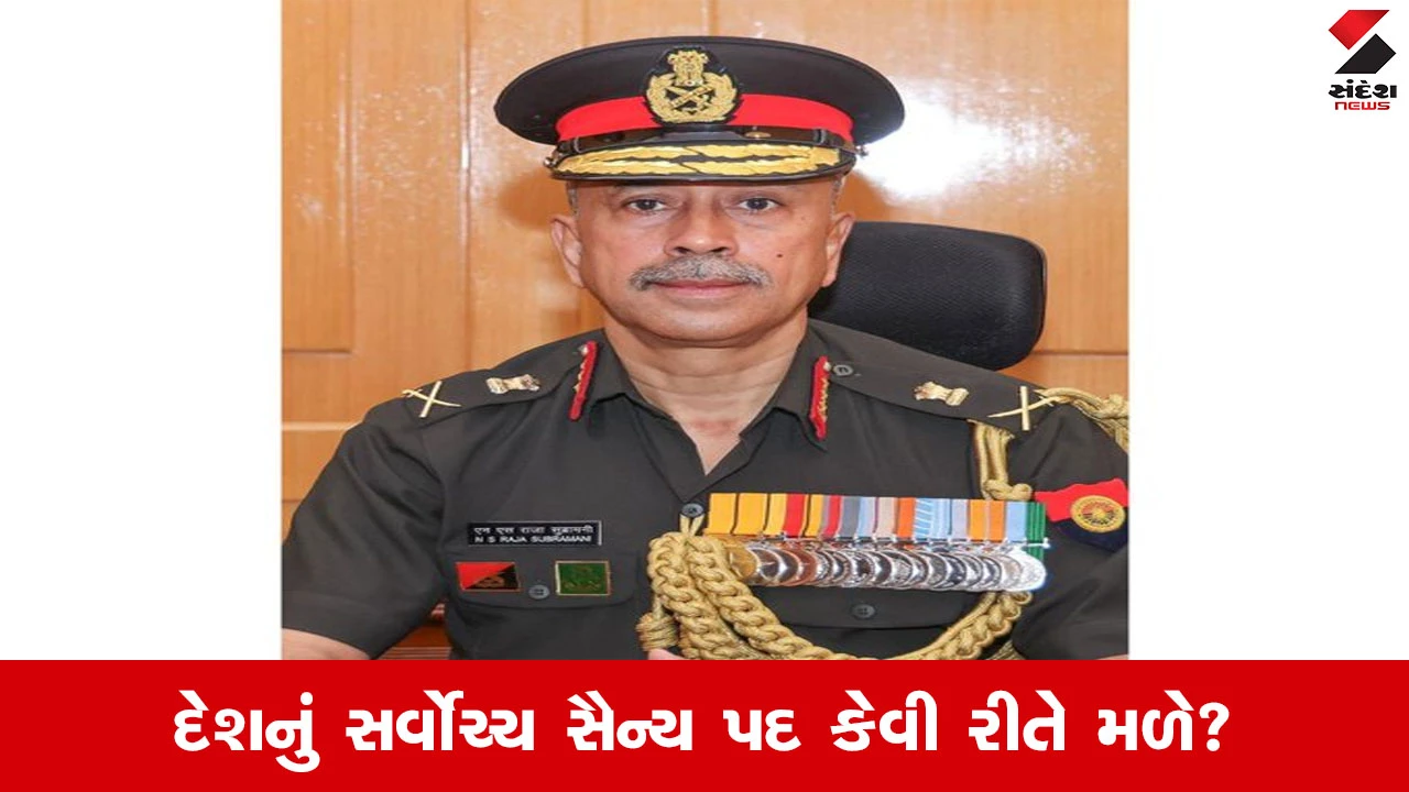 CDS નું મહત્વ અને પ્રમોશન પ્રક્રિયા.