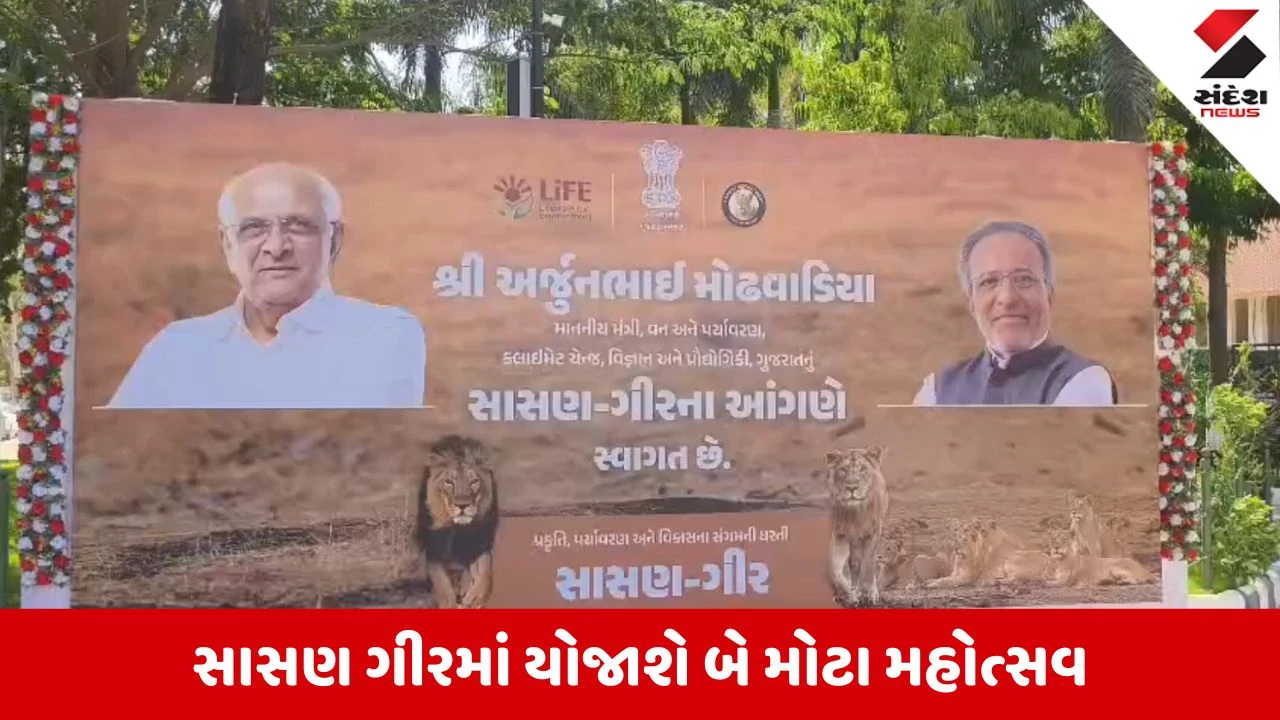 Junagadh News: સાસણ ગીરમાં જામશે ઉત્સવનો રંગ, 'મોન્સૂન' અને 'મેંગો' ફેસ્ટિવલની મંત્રીઓએ કરી જાહેરાત