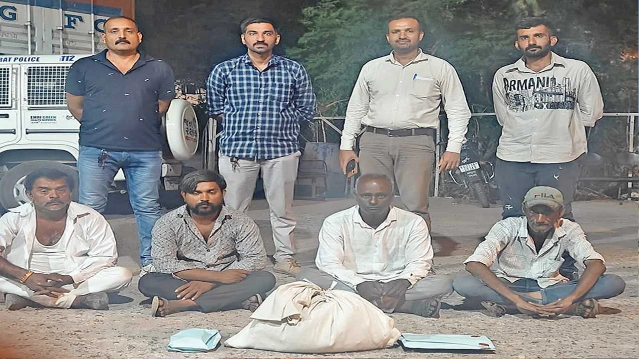 ચોટીલા: પીપળીયા ગામમાંથી પ્રતિબંધિત ગાંજા સાથે 4 શખ્સો ઝડપાયા.