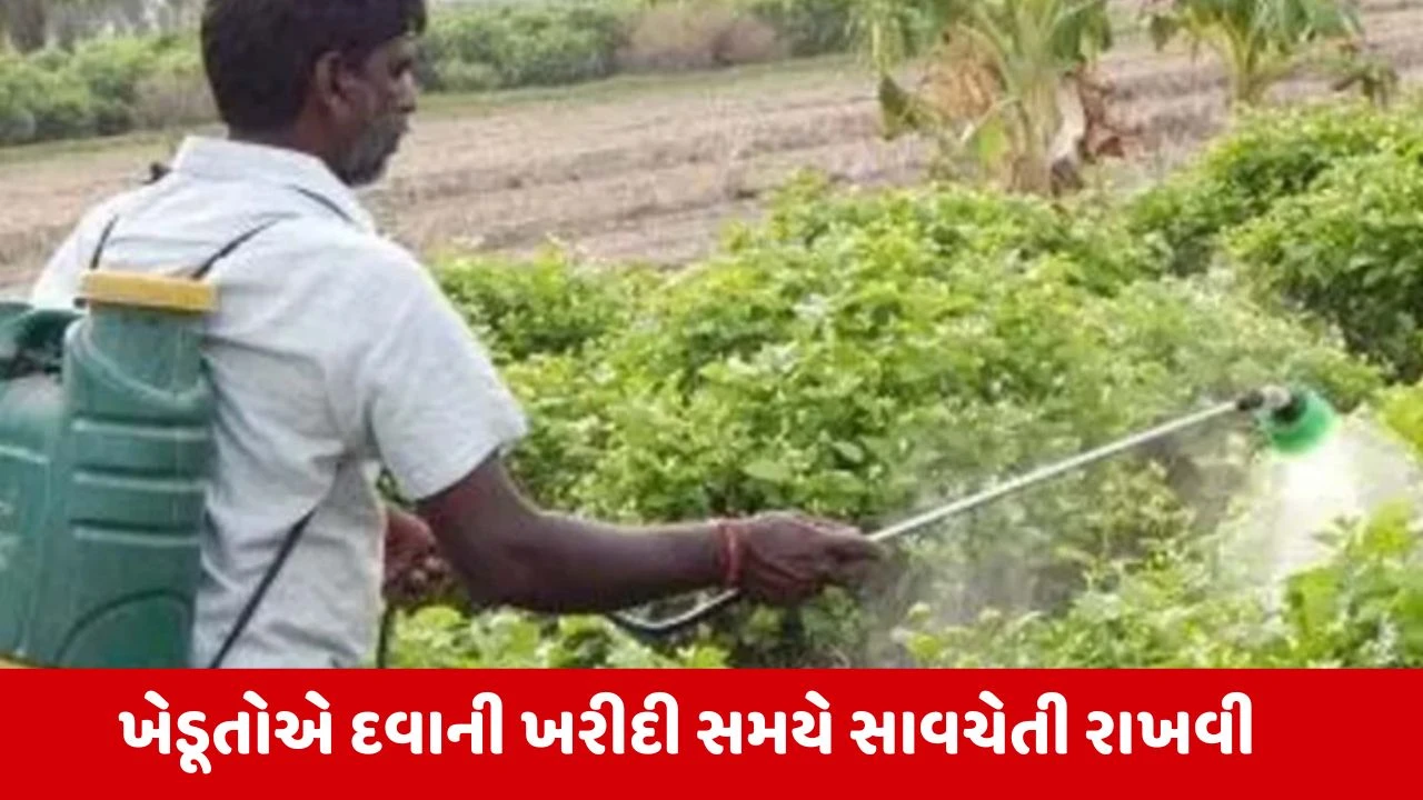 Agriculture News : ચોમાસા પૂર્વે ખેડૂતોને બિયારણ, ખાતર અને જંતુનાશક દવાઓ ખરીદતી વખતે સાવચેતી રાખવા અનુરોધ