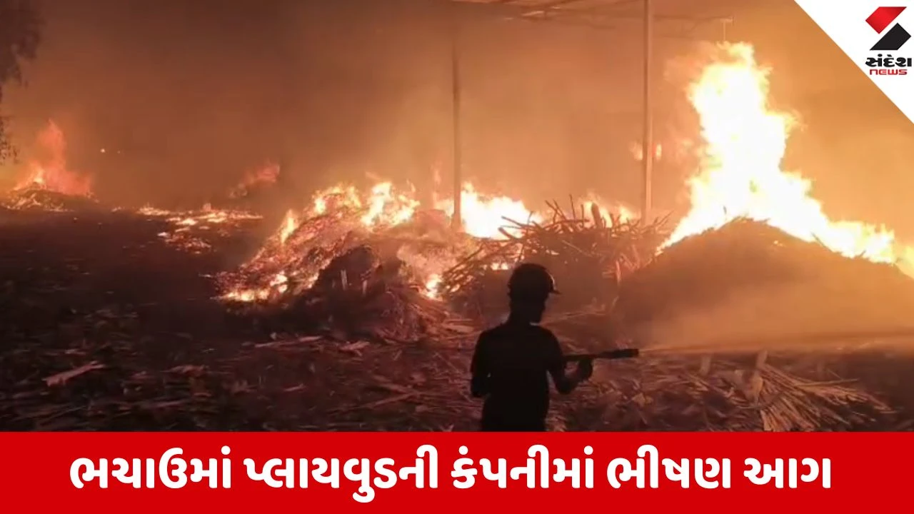 ભચાઉ પ્લાયવુડ કંપનીમાં ભીષણ આગ, મશીનરી અને રો-મટીરિયલ બળીને ખાખ.