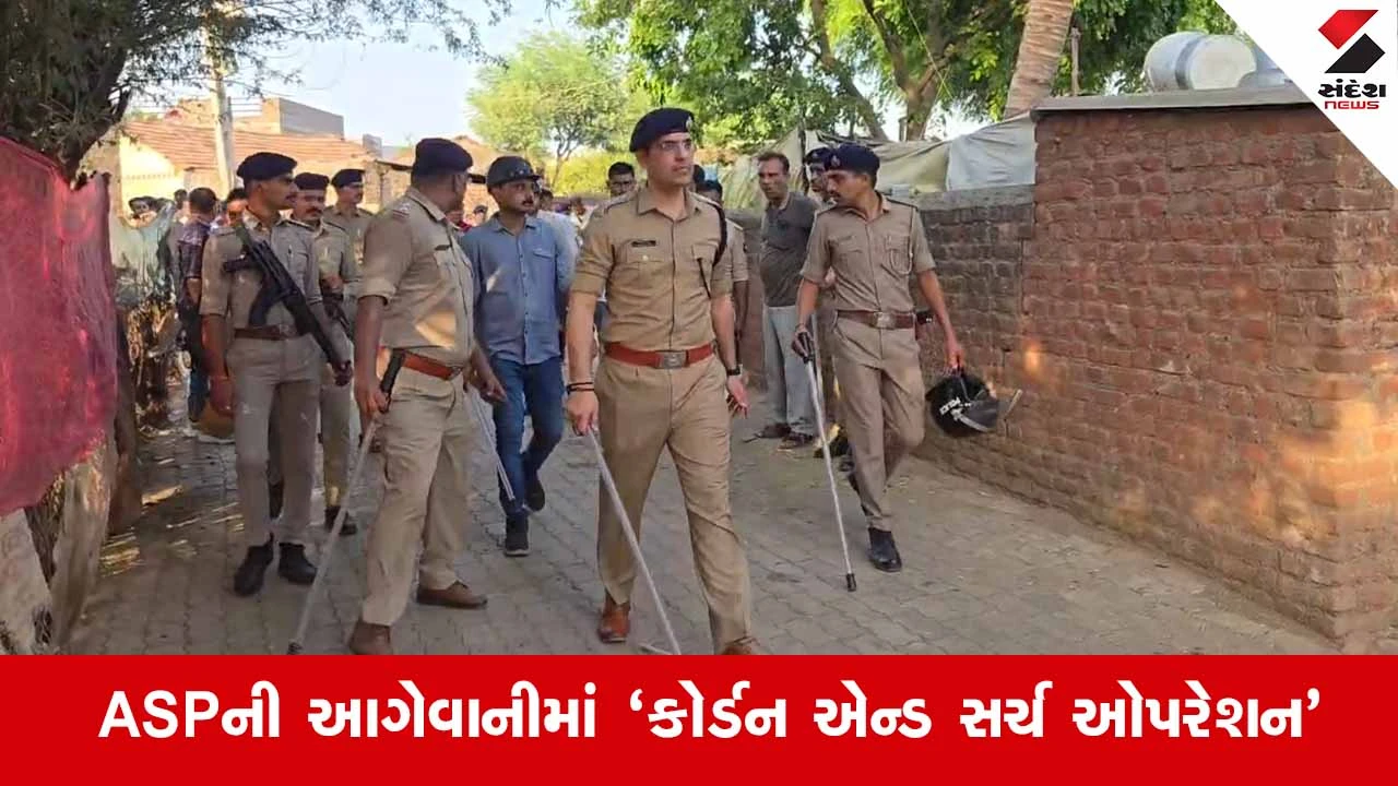 Bhavnagar News: પોલીસ પર હુમલા બાદ ગુંદી ગામે મેગા 'કોર્ડન એન્ડ સર્ચ ઓપરેશન', 20 શખ્સોની અટકાયત