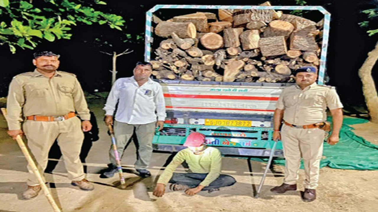 લીલાછમ વૃક્ષોનું ગેરકાયદે છેદન: વાહનો જપ્ત, ત્રણ સામે કાર્યવાહી
