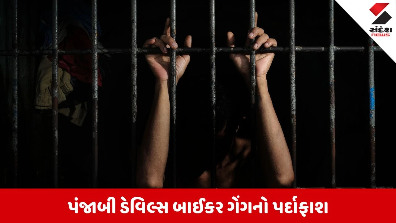 USમાં 'પંજાબી ડેવિલ્સ' ગેંગ લીડરને 5 વર્ષની જેલ.