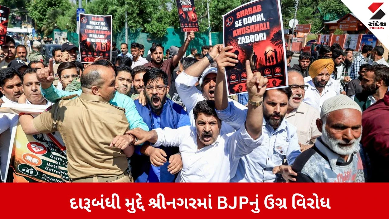 જમ્મુ અને કાશ્મીરમાં દારૂબંધીની માંગ સાથે BJP રસ્તા પર ઉતરી!
