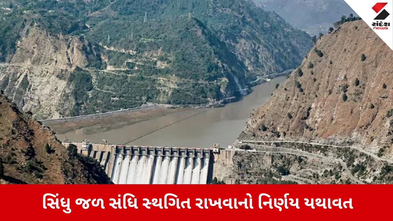 Indus Waters Treaty:  ભારતે સિંધુ જળ સંધિ પર આંતરરાષ્ટ્રીય કોર્ટના ચુકાદાને ફગાવ્યો, પાકિસ્તાનને ફરી આપી ચેતવણી