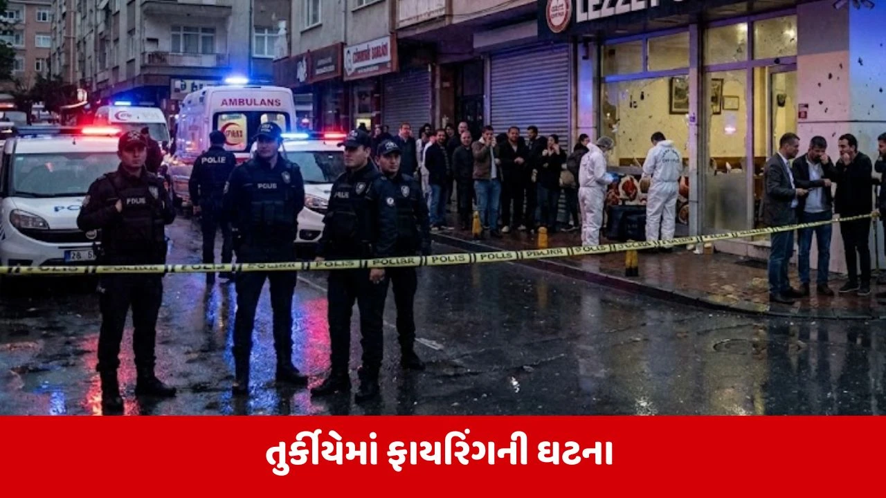 Turkiye Firing : તુર્કીયેમાં રોસ્ટોરન્ટમાં અંધાધૂંધ ફાયરિંગ, 4 લોકોના થયા મોત