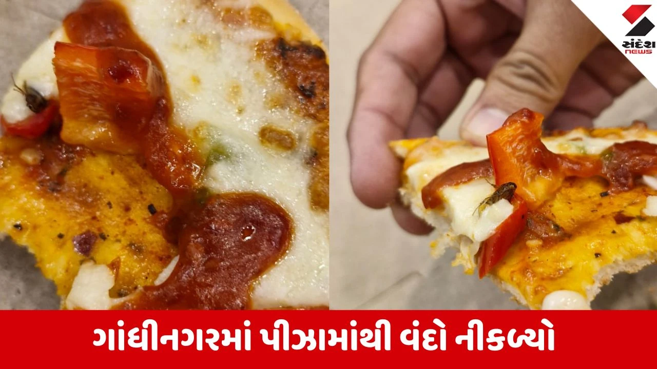 ટેરાનોવાસ પીઝામાંથી વંદો નીકળ્યો, ગ્રાહકોના સ્વાસ્થ્ય સાથે ચેડાં.