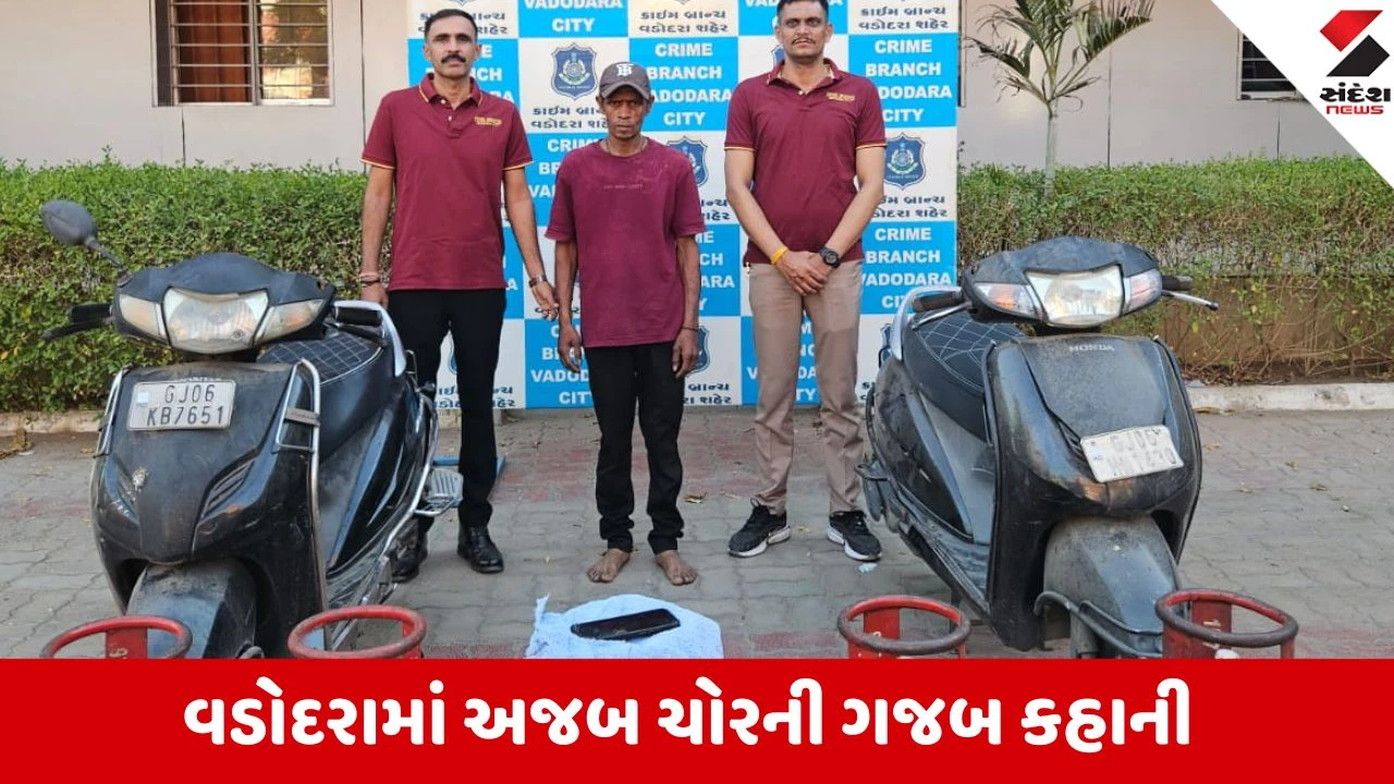 ગેસ સિલિન્ડર ચોરી: શાતિર ગઠિયા ક્રાઇમ બ્રાન્ચે ઝડપ્યો, ભાવ વધારાનો ઉઠાવતો હતો ફાયદો.