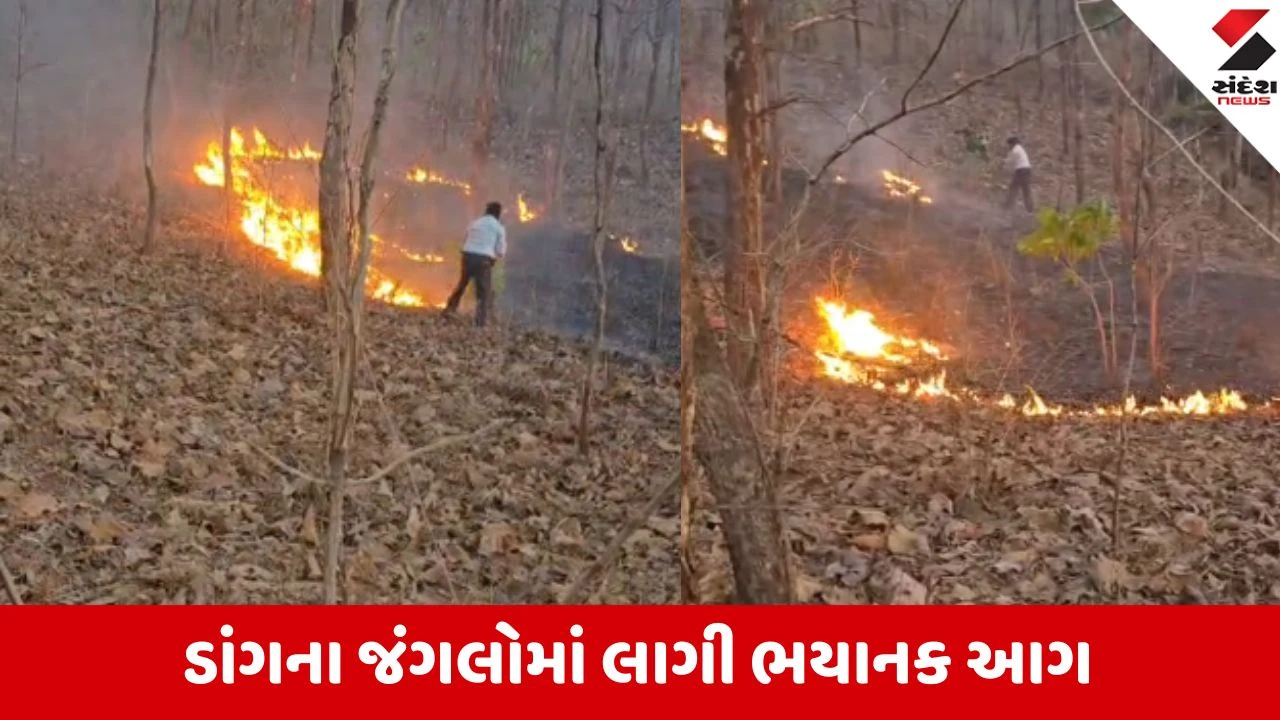 ડાંગ: પૂર્વ પટ્ટીના વનવિસ્તારમાં ભયાનક આગ, વન વિભાગે થાળે પાડી.