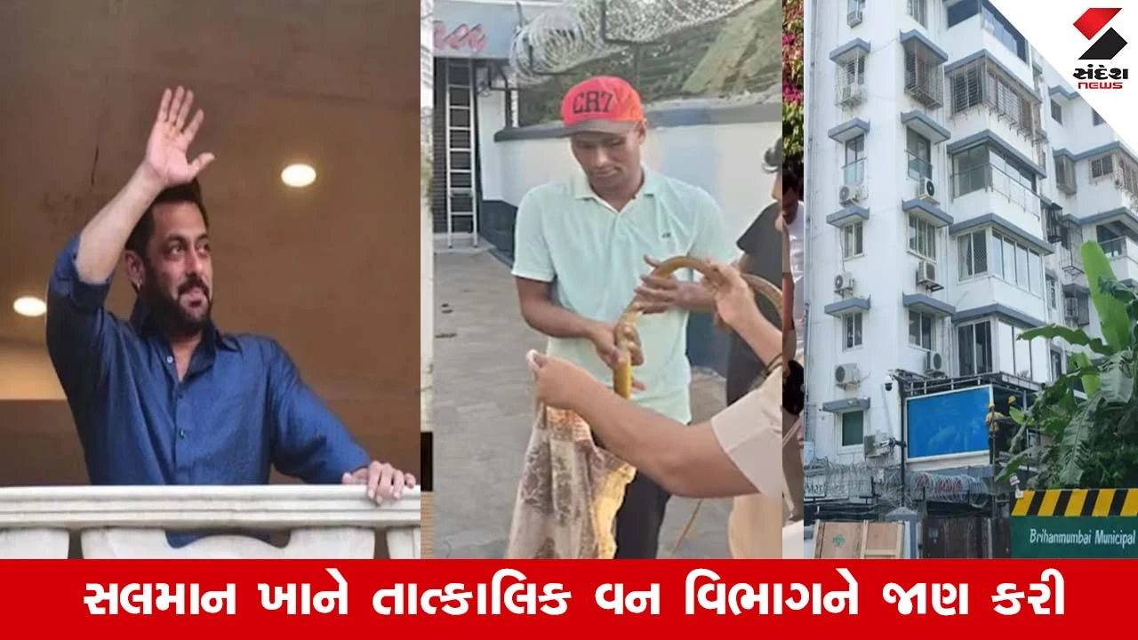 Salman Khanના ગેલેક્સી એપાર્ટમેન્ટમાં 5 ફૂટ લાંબો સાપ નીકળતા મચી અફરાતફરી
