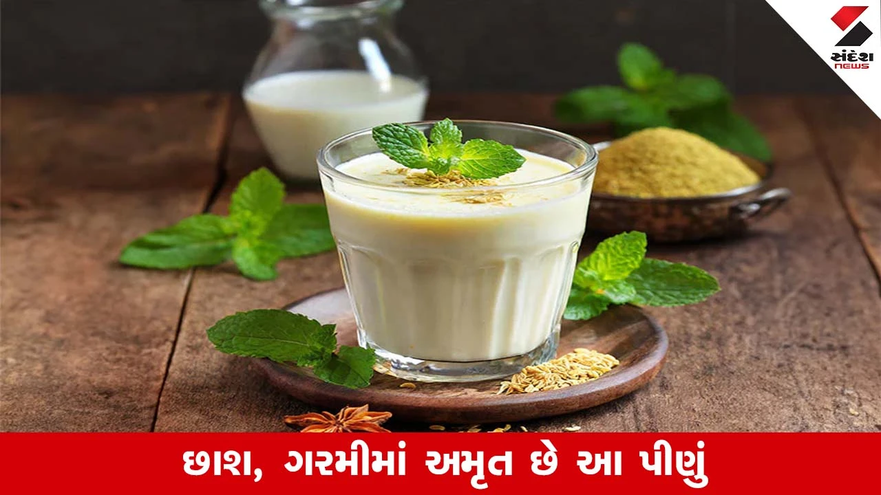 Summerમાં છાશ કોણે ના પીવી જોઈએ, શું કહે છે હેલ્થ એક્સપર્ટ