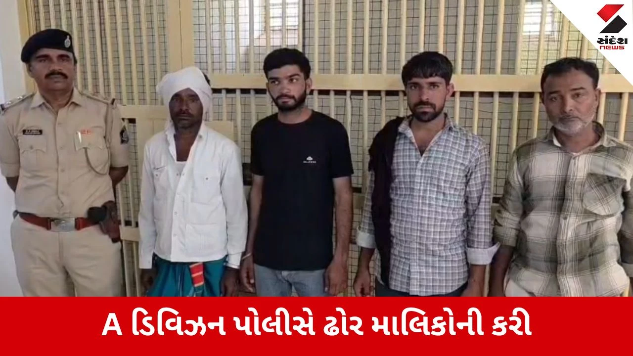 Patan : રખડતા ઢોર પકડવા ગયેલી નગરપાલિકાની ટીમ પર હુમલો કરનાર ઢોરમાલિકોની આખરે ધરપકડ
