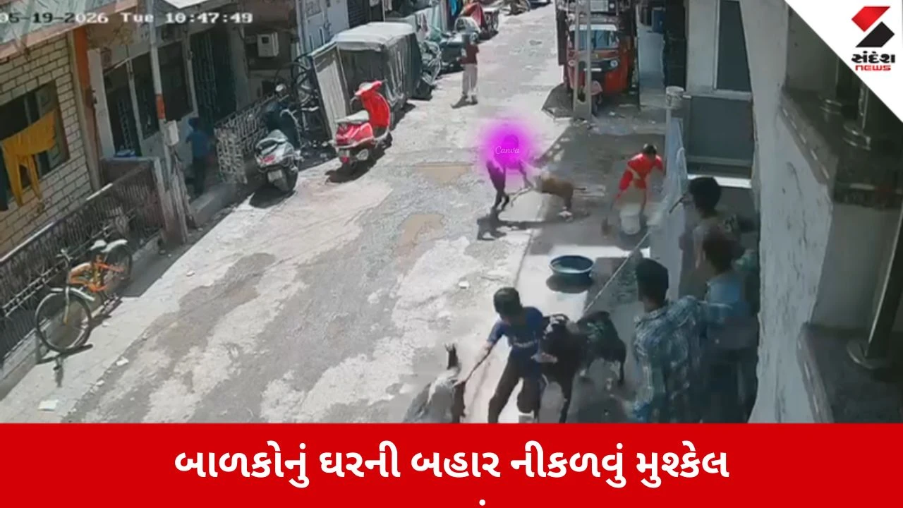 Surat : લિંબાયતમાં માસૂમ બાળક પર શ્વાનનો હુમલો, SMC સામે સ્થાનિકોમાં ભારે રોષ