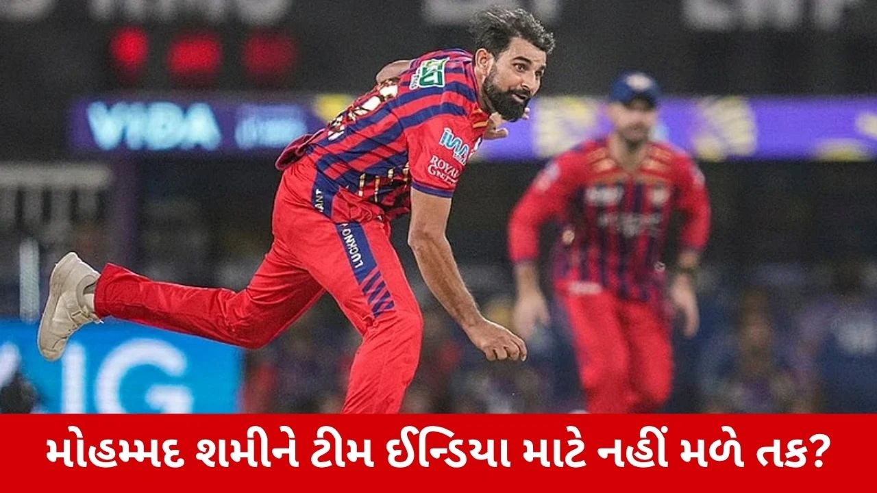 Mohammed Shamiને લઈને સિલેક્ટર્સે આપ્યો જવાબ, કહ્યું- 'હાલમાં ફક્ત T20 રમવા માટે ફિટ...'